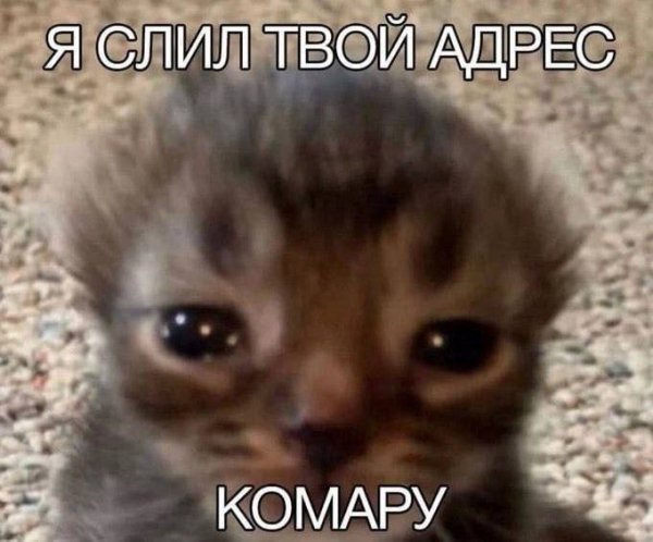 picture_412696974