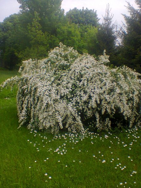 Nuotrauka0554