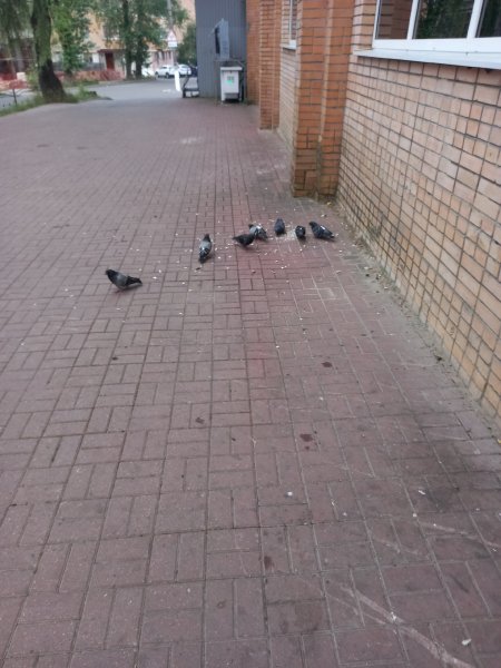 picture_302219325