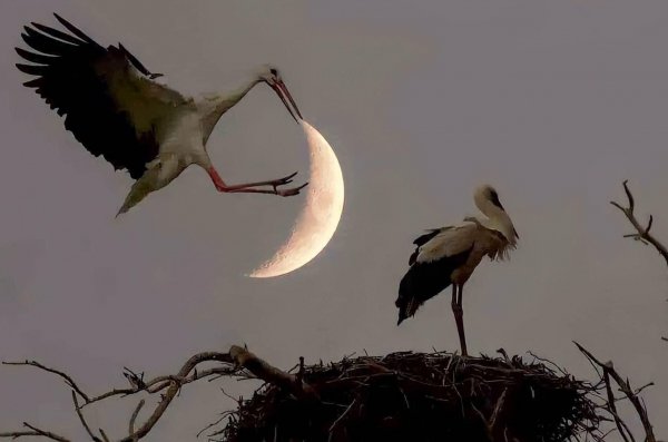 dd50f491a0b28913ccaf957432ca-