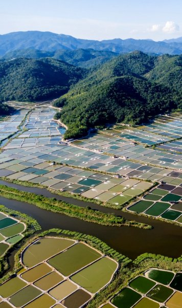 Screenshot 20260417-161121 One UI Home