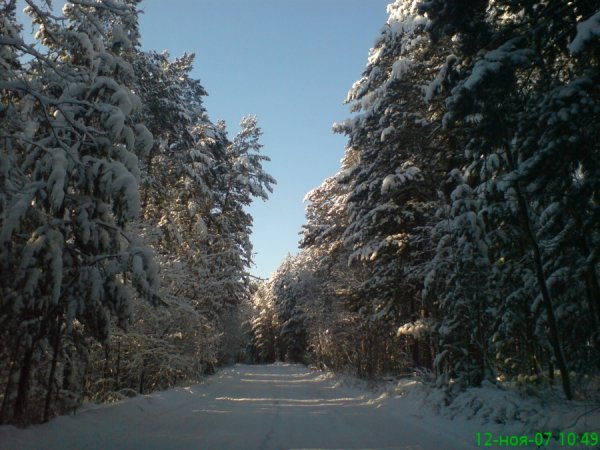 pics