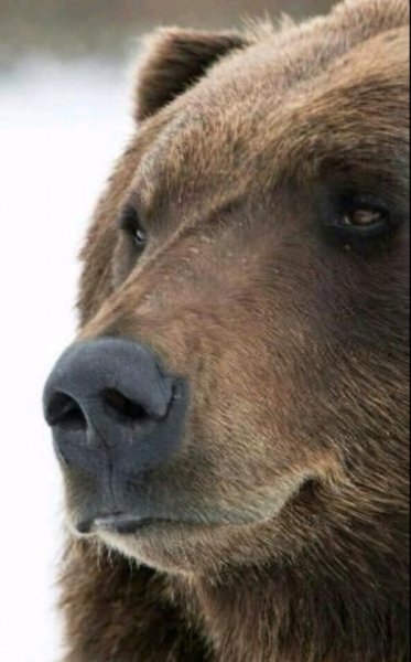 Screenshot 20211120 104339