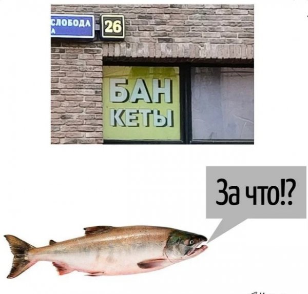 Игра слов)