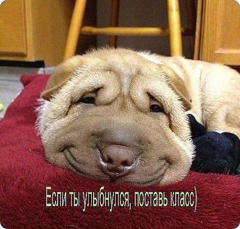Улыбка