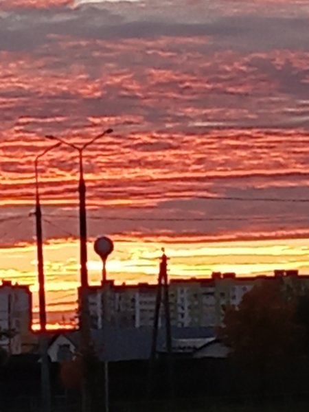 picture_398325659