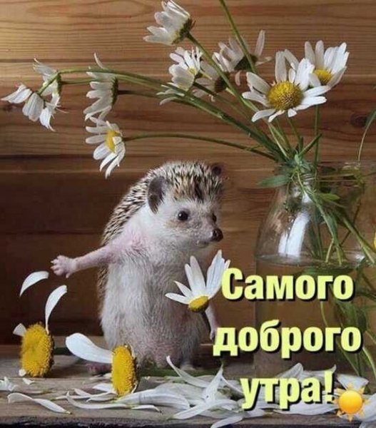 0ea736bc0b280b6a7376ffa4c3374b71