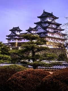 Pagody arhitektura derevia