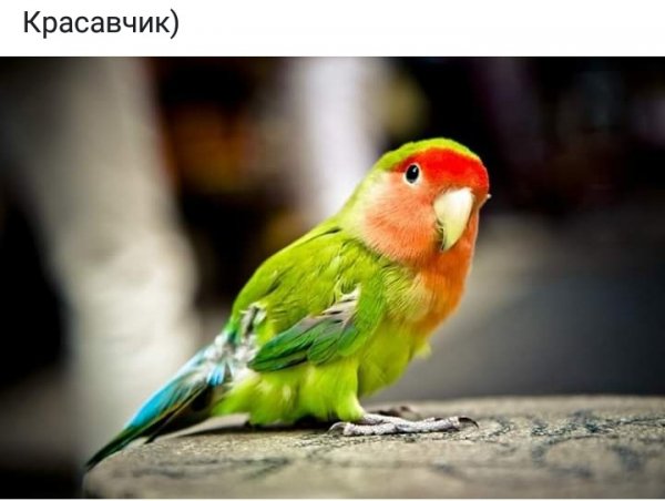 IMG 20190829 060936