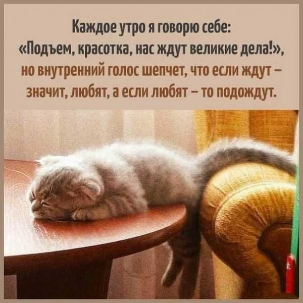 То подождут