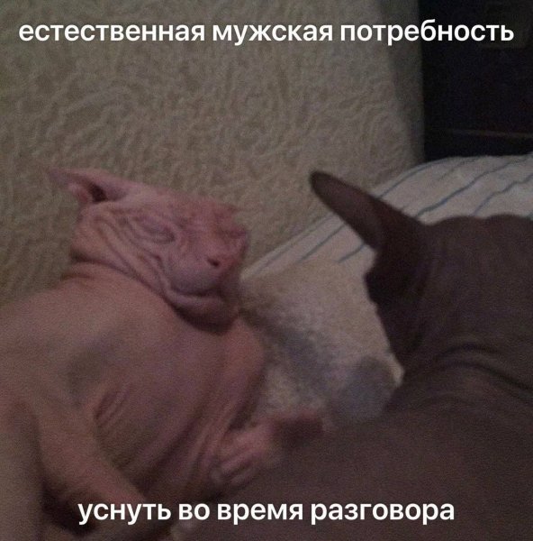 picture_411756657