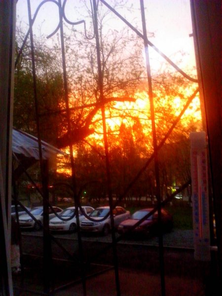 IMG 20170513 213952