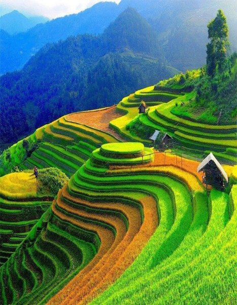 ПРИРОДА АЗИИ