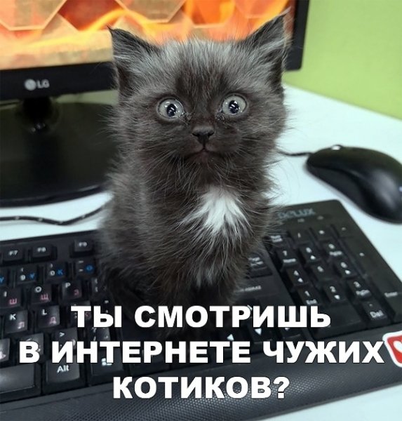 Шок))