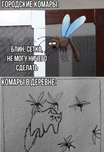 c1ceb memy-novye-svezhie-smeshnye-6
