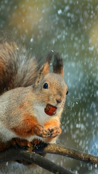 ZamanilkaRUS Wallpaper (4)