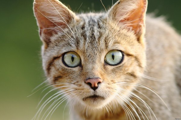 C79f0e7975632c6d97fb064d4b967075