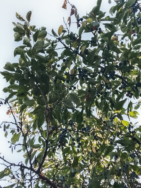 picture_396361883