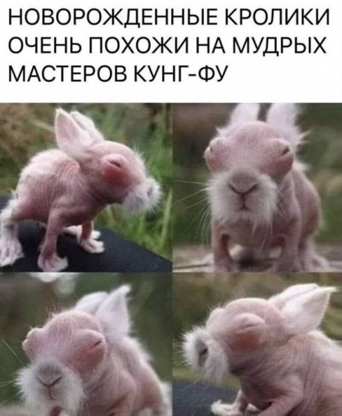 A7d7a8b799 20495172