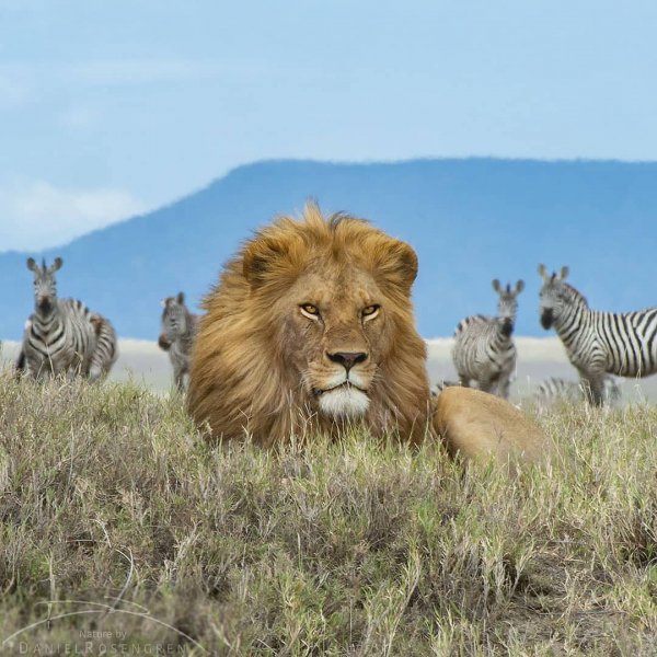 97ABD9D2-7803-424F-B1F0-F8E1110DC4DF