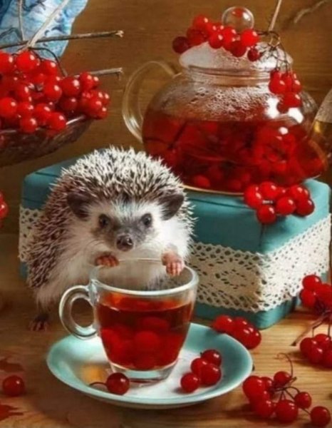 b75aa510cf82a0a3226471ca