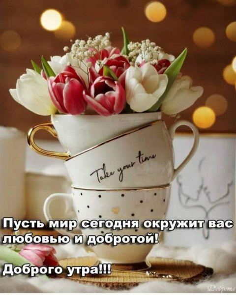 76ec266b914d5d390a0390d0ace48796