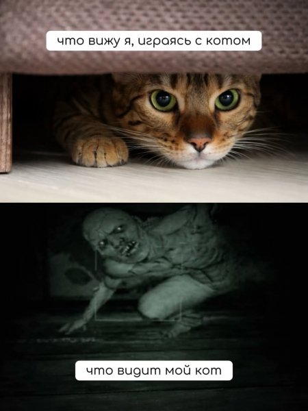 Messi kott 1bed3cf211ad47fbb1b7e32b35fa5ca2