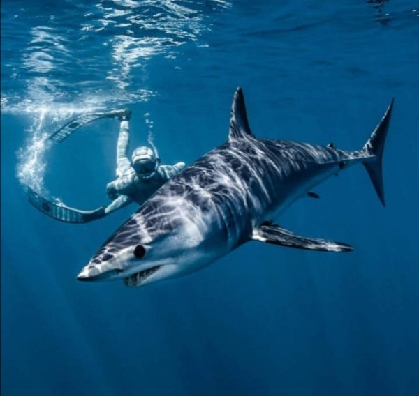 Screenshot 20200109 000201