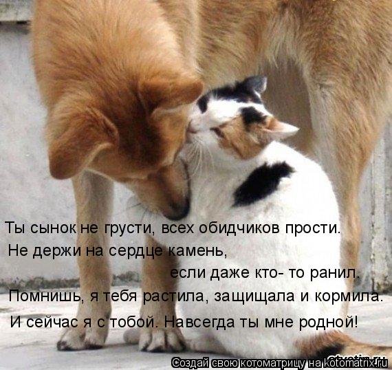 Так!