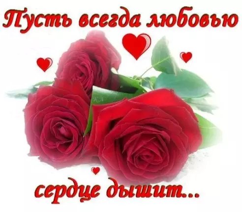 image(993)