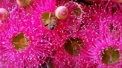 5e325fd75060bdd3891a455d282234af