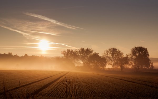 Earth-field-fog-nature-sun-sunrise-769235