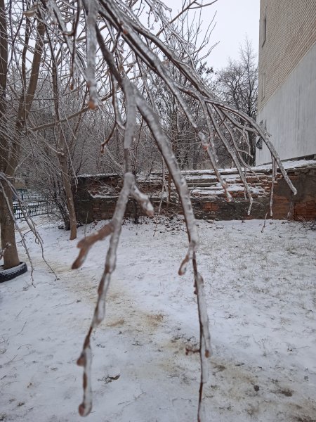 IMG 20260127 103208 1