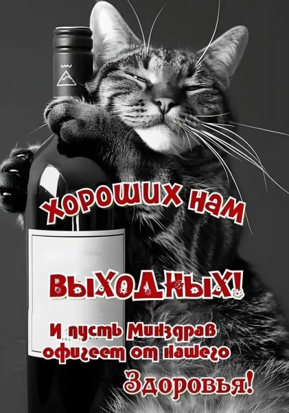 Друзья мои!
