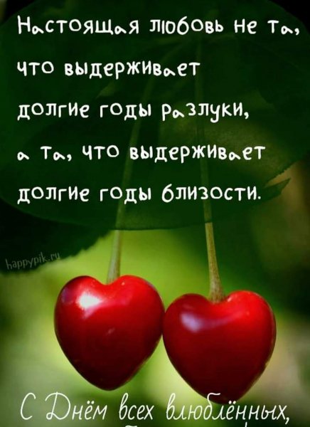 FB IMG 1613277565314