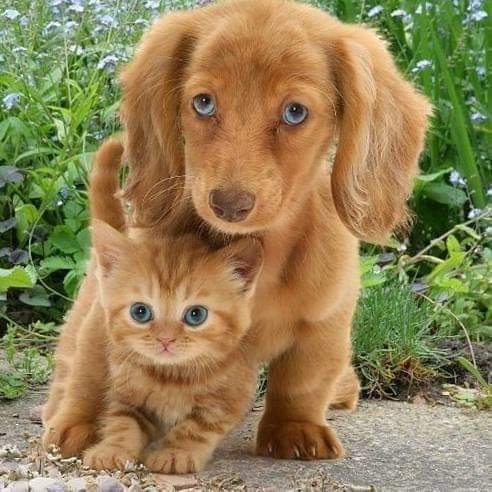 FB IMG 1611372689420