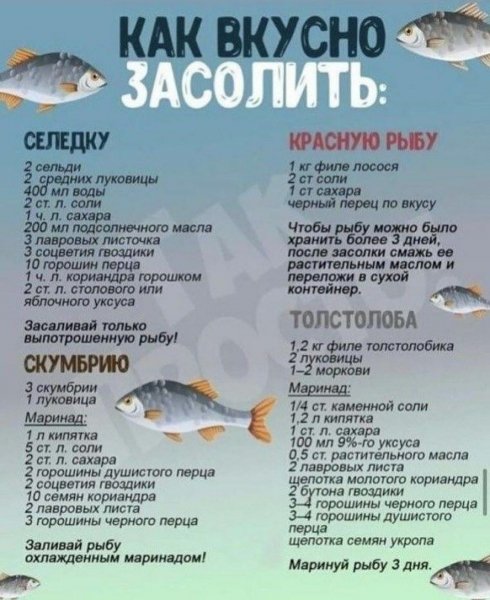 IMG 20231106 090155 032