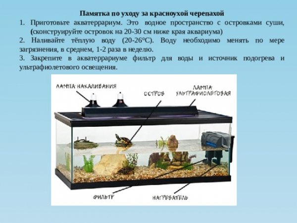 Акватеррариум