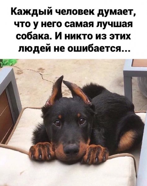 Верные слова!