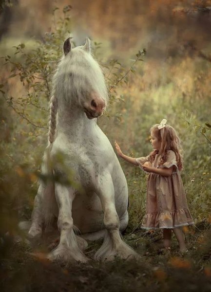 Horses love!