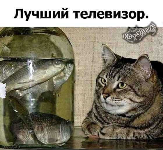 FB IMG 16982078241948072