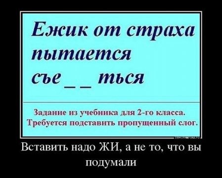 А что вы подумали?)