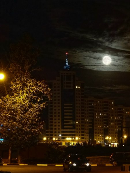 picture_399716980