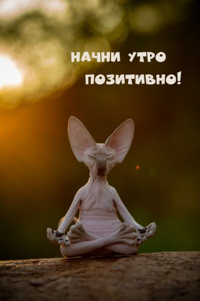 Позитив