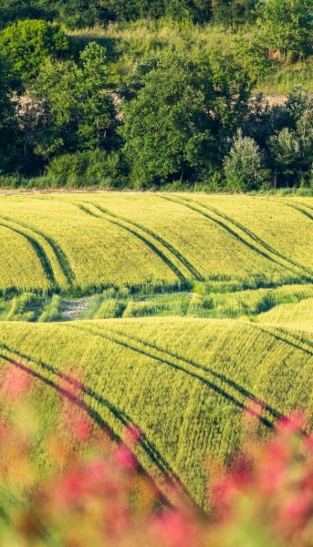 Screenshot 20260203-130653 One UI Home