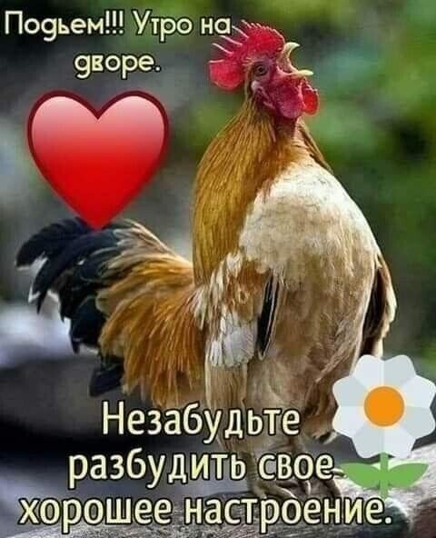 cOsLxRdefWg