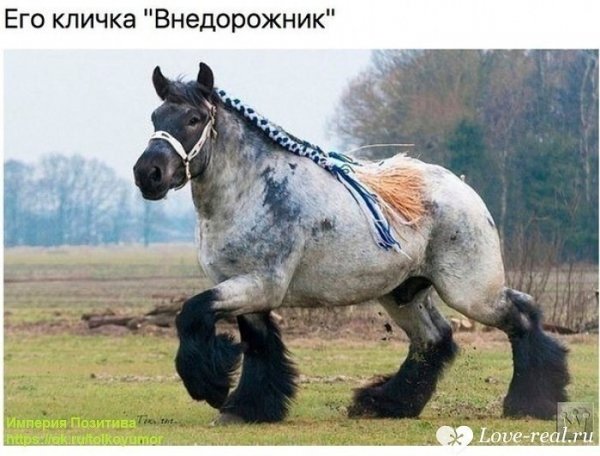 IMG 20211221 191557