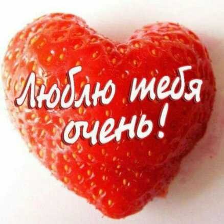 IMG-20181101-WA-00021