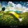 file_957981