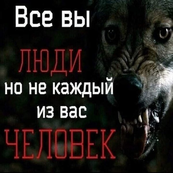 21-48-46-240584154 372380914622538 7642344529509766742 n